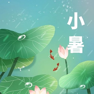 小暑节气荷花插画公众号次图