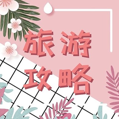 旅游花朵粉红简约公众号次图
