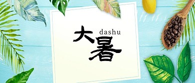 简约时尚大暑节气公众号首页海报