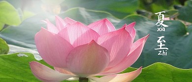 夏至24二十四节气传统中国风活动公众号封面图