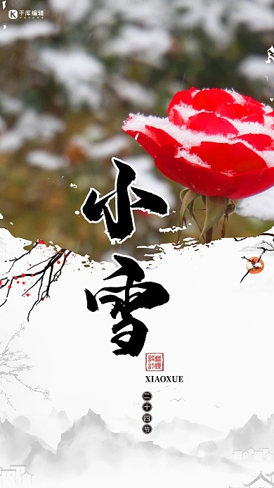小雪节气花朵白色简约海报