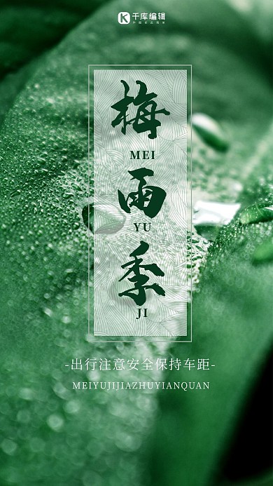 梅雨季树叶植物雨天绿色中国风手机海报