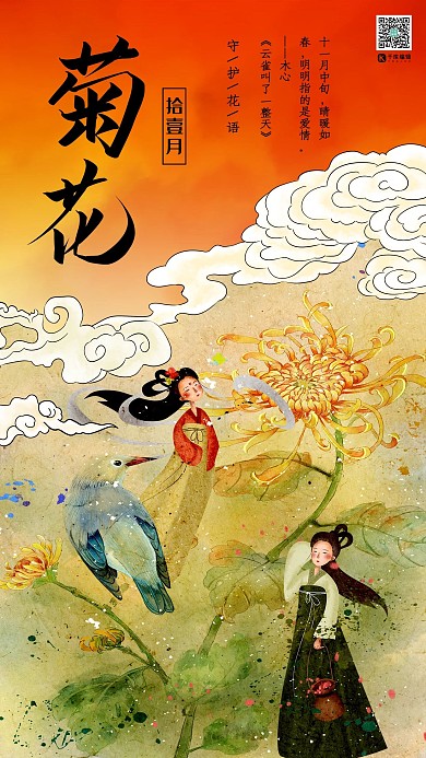 十二月花信之十一月菊花传统中国花鸟画插画风格海报