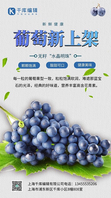 蓝色葡萄新上架秋季水果葡萄海报