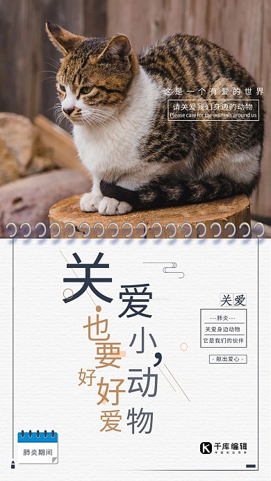 善待动物猫咪白色简约海报