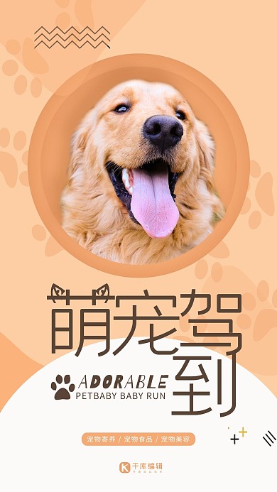 创意黄色几何简约萌宠驾到宠物家园活动海报