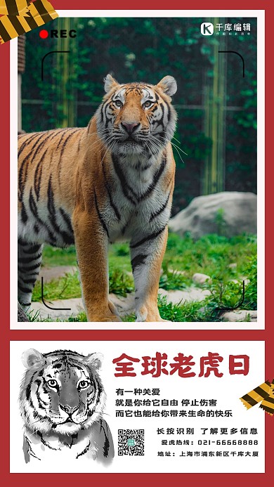 全球老虎日老虎深红简约手机海报