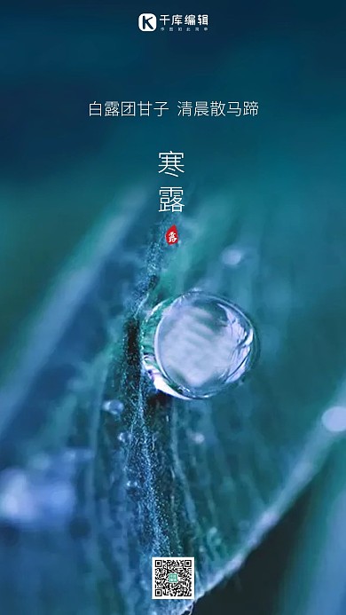 寒露露水露珠白露清晨节气二十四节气寒露手机海报