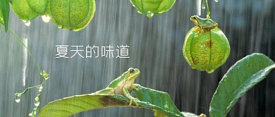 夏天主题公众号封面图