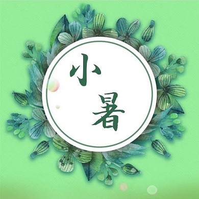 小暑叶子绿色清新公众号次图