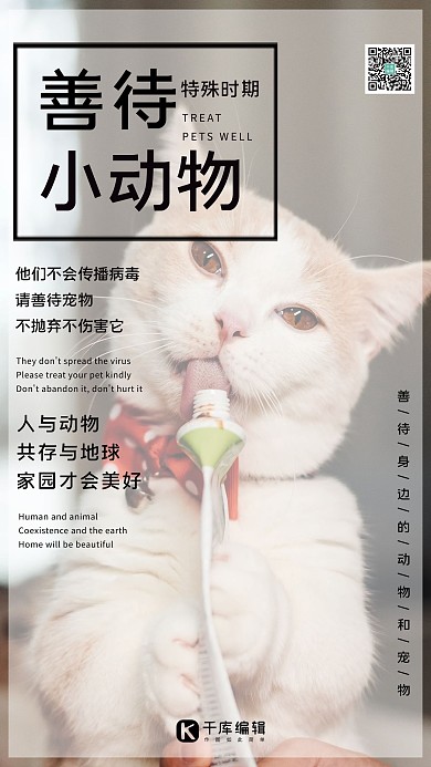 千库编辑原创善待动物猫咪白色简约海报