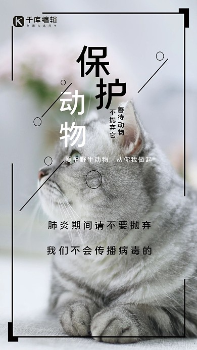 善待动物猫咪白色简约海报