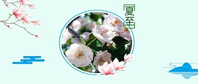 夏至蓝色简约荷花二十四节气公众号首图