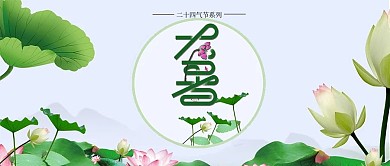大暑二十四节气实拍荷花荷叶公众号首图