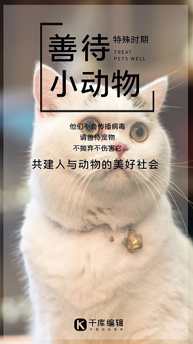 千库编辑原创善待动物猫咪白色简约海报