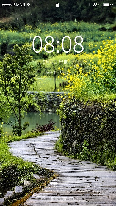 油菜花道路和树木摄影图