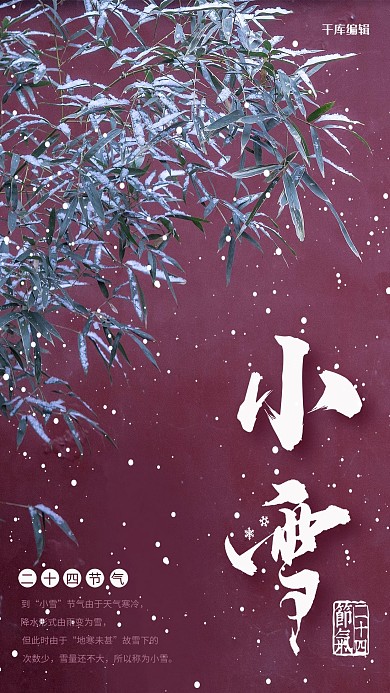 简约创意摄影唯美二十四节气小雪海报
