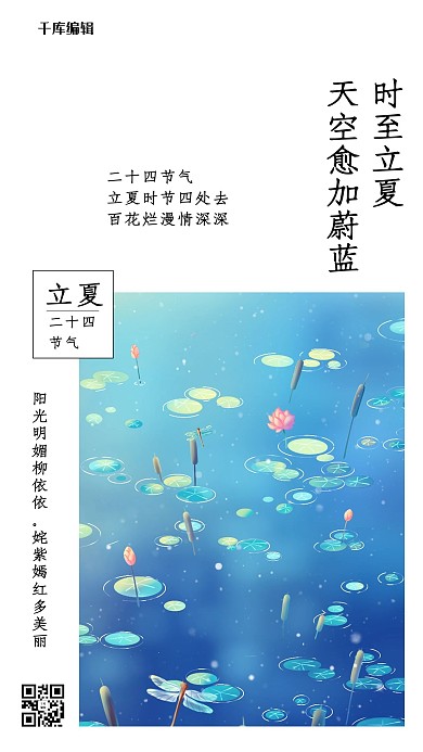 立夏荷叶蓝色创意海报