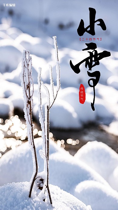 二十四节气小雪白色小清新海报
