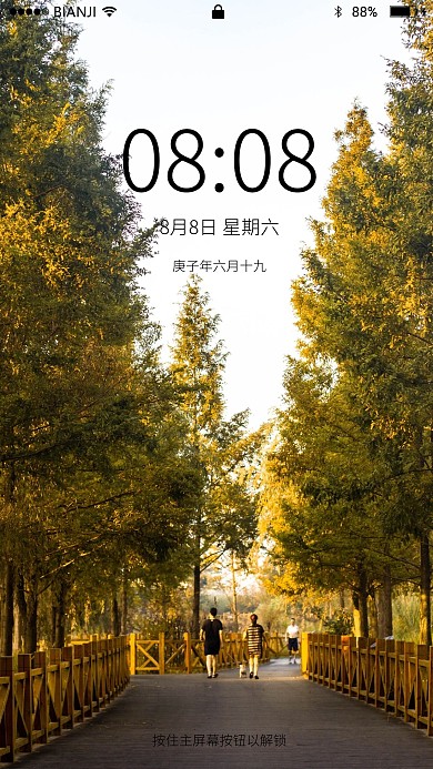 秋天路边树摄影图