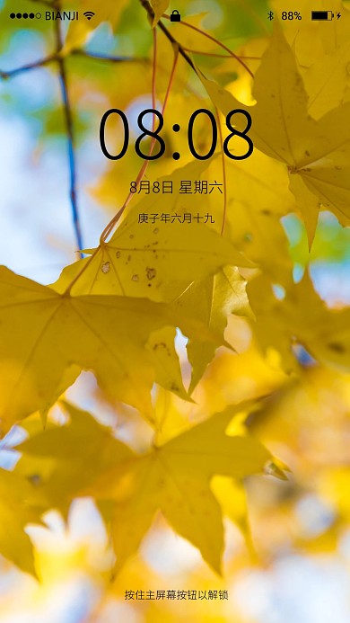 秋天落叶