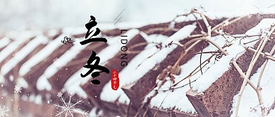 二十四节气屋檐小雪白色简约公众号首图