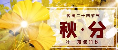 中国传统二十四节气秋分公众号首图封面