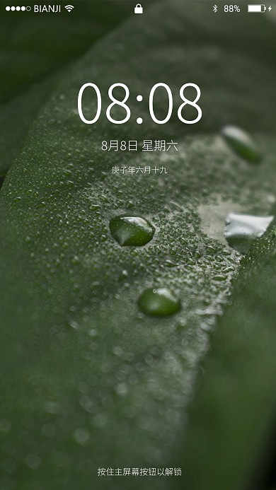 绿叶上的雨滴