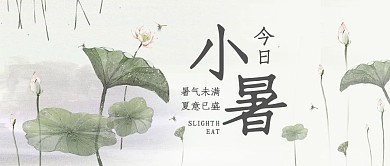 今日小暑荷花绿色中国风公众号首图