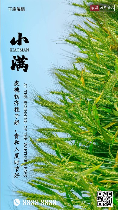 二十四节气小满麦田绿色简约海报