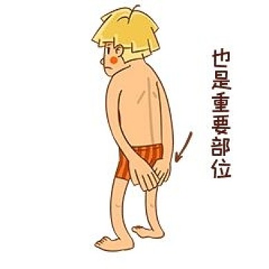 男孩性安全教育重要部位