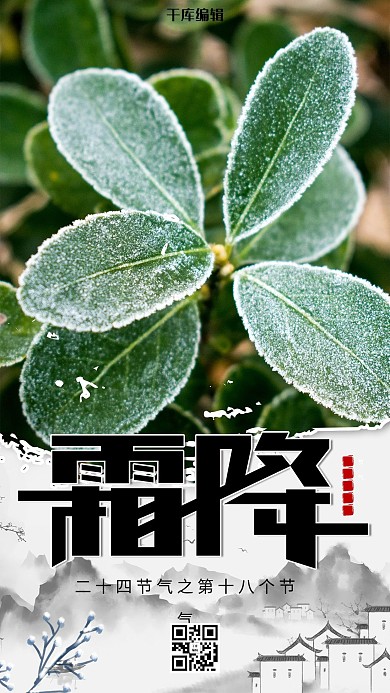 霜降节气绿叶绿色简约海报