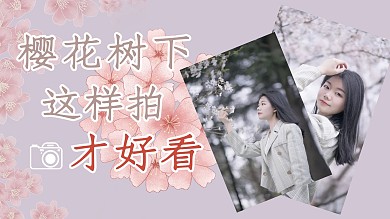 樱花拍照樱花粉色摄影图横版视频封面