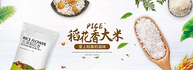 简约淘宝大米海报模板
