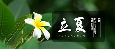 立夏节气绿色大字摄影图公众号首图