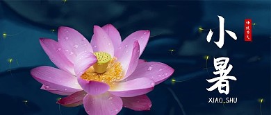 小暑小暑蓝色简约公众号首图