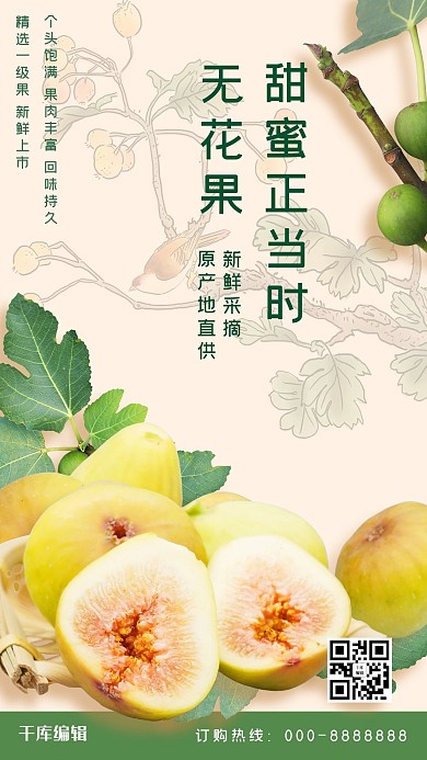 秋季水果浅色系简约风无花果海报