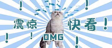 震惊快看宠物蓝绿卡通公众号首图