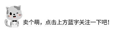 卖萌小猫引导关注