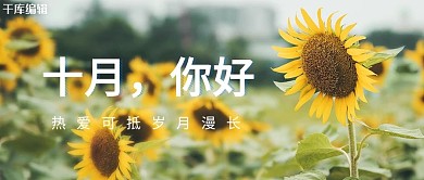 十月你好向日葵黄色清新实景风