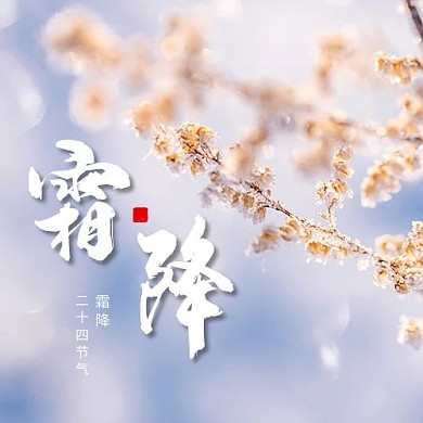 霜降梦幻雪花紫色摄影风公众号次图