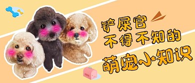 萌宠小知识萌宠小知识黄色卡通公众号首图