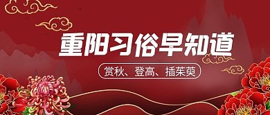重阳节习俗菊花红色简约公众号封面