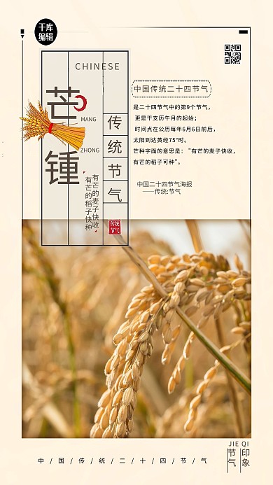 芒种稻子黄色简约海报