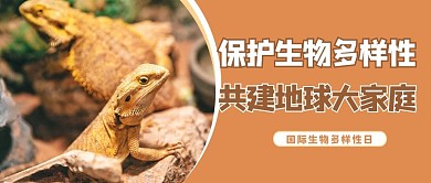 国际生物多样性日摄影图黄色商务风公众号首图