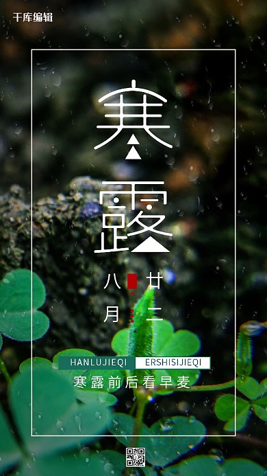寒露叶子绿色创意海报