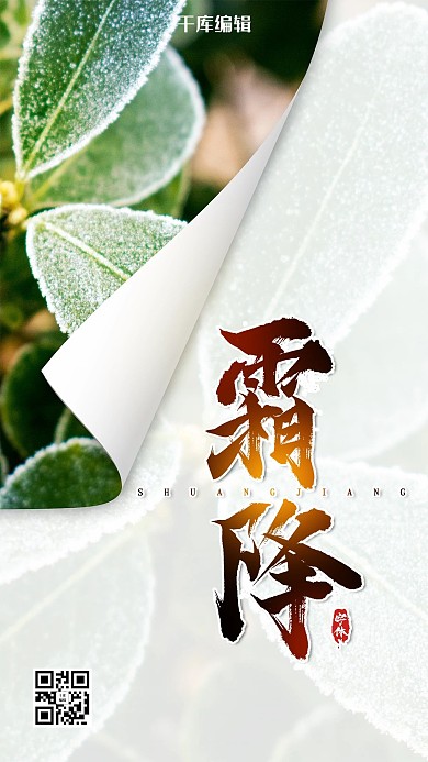 霜降叶子白色简约海报