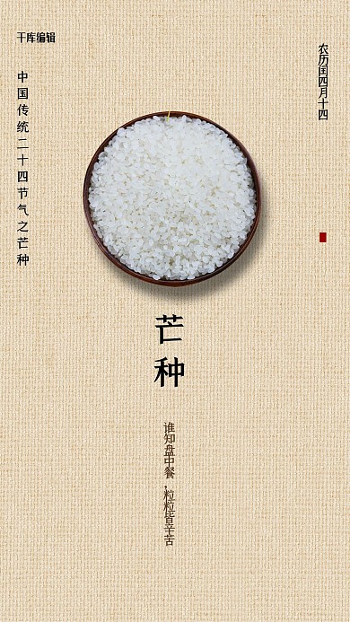 芒种大米黄色调简约风格海报