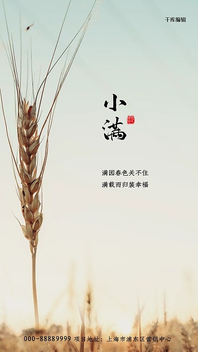小满小麦青色写实海报