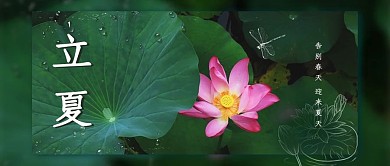 立夏荷花绿色摄影风公众号首图
